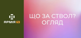 Що за ствол? Огляд американського карабіна DDM || Армія TV.