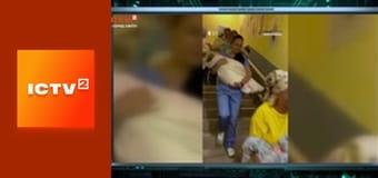 Громадянська оборона, 2 ч. Громадянська оборона, 2 ч.