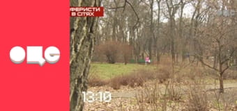 Аферисти в сітях, 2 сезон.