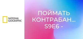 Поймать контрабандиста S9E6 - Криминальный "рог изобилия"