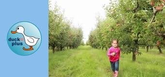 Higher the Better - Apple Picking Higher the Better - Apple Picking