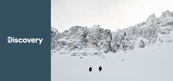 Выжить вместе