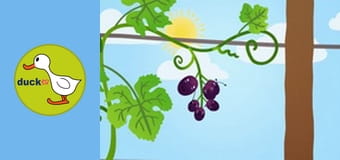 Happy Garden - Grapes
