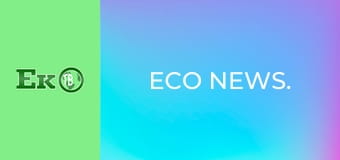 Eco News. Eco News.