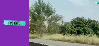 Кафе "Пінгвін" на Куренівці. Історія створення та сьогодення. Культові місця Києва #1.