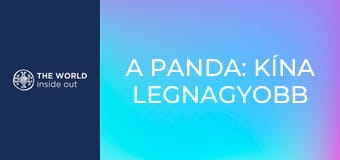 A panda: Kína legnagyobb kincse. Élet egy hegyi faluban. Kína. A panda: Kína legnagyobb kincse. Élet egy hegyi faluban. Kína.