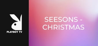 SeeSons - Christmas