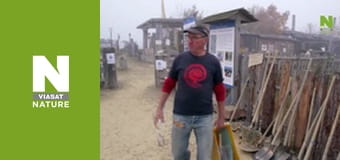 Птахи - Походження та політ Птахи - Походження та політ