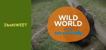 Wild World at the San Diego - episode 16