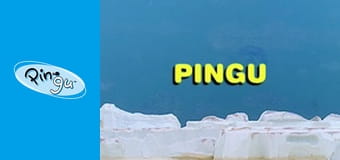 Pingu at the Wedding Party Pingu at the Wedding Party