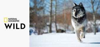 Матриархат S1E1