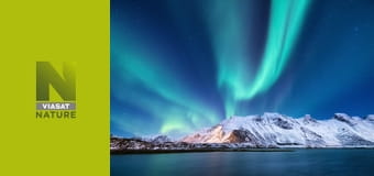 Дика зима S1E3 - Виживання