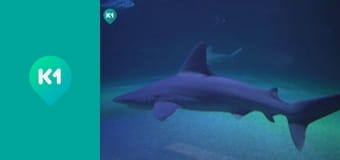 "Інший світ".