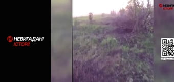 Невигадані історії.