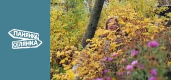 City Girl, Country Girl, Season 9, Episode 15