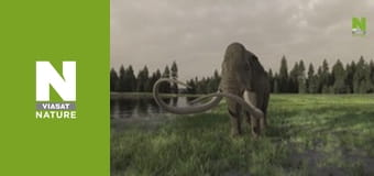 Lost Beasts: Unearthed - Secrets of the Giant Mammoths