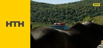 Т/с "Елементарно", 2 сезон.