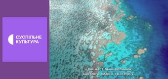 Д/с "Світ дикої природи. Дикі тварини". "Великий Бар'єрний риф". Д/с "Світ дикої природи. Дикі тварини". "Великий Бар'єрний риф".