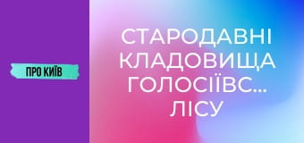 Стародавні кладовища Голосіївського лісу під загрозою забудови. Китаївська пустинь зникне.