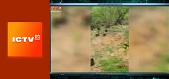 Гражданская оборона. Гражданская оборона.