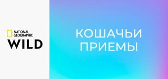 Кошачьи приемы