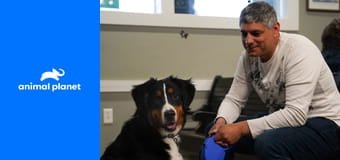 Доктор Джефф. Ветеринар Рокки Маунтин S6E8 - Ранчо обморочных коз