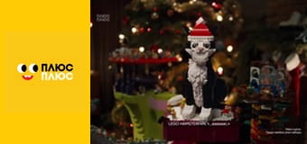 Історія жителів Сильванії