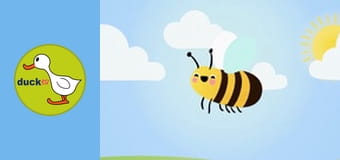 Happy Garden - Pumpkin