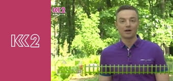 Телемагазин