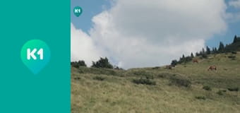 "Крафтові мандри" з Євгеном Синельниковим.