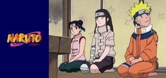 Naruto Season 1 Episode 163