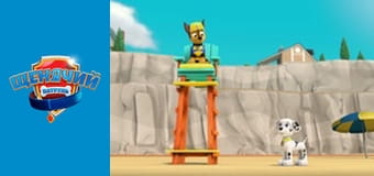 Щенячий патруль. Сезон 5 – серія 3