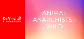 Animal Anarchists - Wild Family Parents