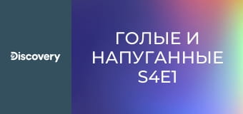 Голые и напуганные S4E1