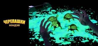 Teenage Mutant Ninja Turtles Season 1 Episode 25