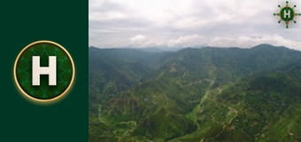 Орел і Решка. Земляни