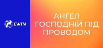 Ангел Господній під проводом Святішого Отця Лева XIV. Наживо.
