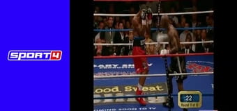 WBC WBC