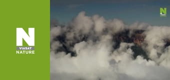 Дика Латинська Америка - Венесуела