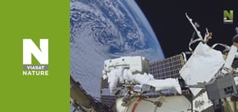 Эволюция - Изучение Эволюция - Изучение