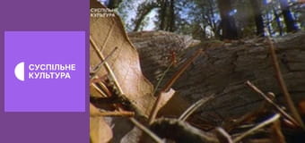 Д/с "Суперспособности животных". "Чувство времени".