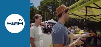 Pedro Around the World - USA: Brooklyn