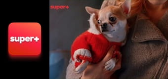 Т/с "Леся+Рома", 24 с.