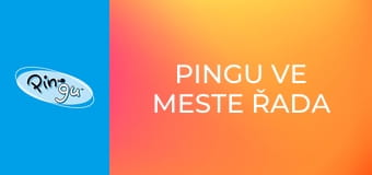 Pingu ve meste Řada 2 Epizoda 11 Pingu ve meste Řada 2 Epizoda 11