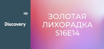 Золотая лихорадка S16E14