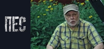 Пёс, Сезон 6, Серия 4