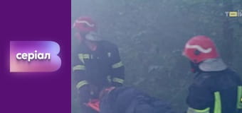 Т/с "Філін", 1 сезон, 21 с.