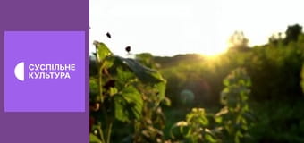 Гимн Украины. Гимн Украины.