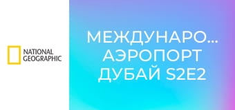 Международный аэропорт Дубай S2E2 - Пожарные