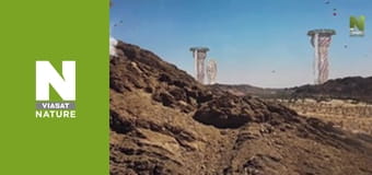 Эволюция - Выживание Эволюция - Выживание